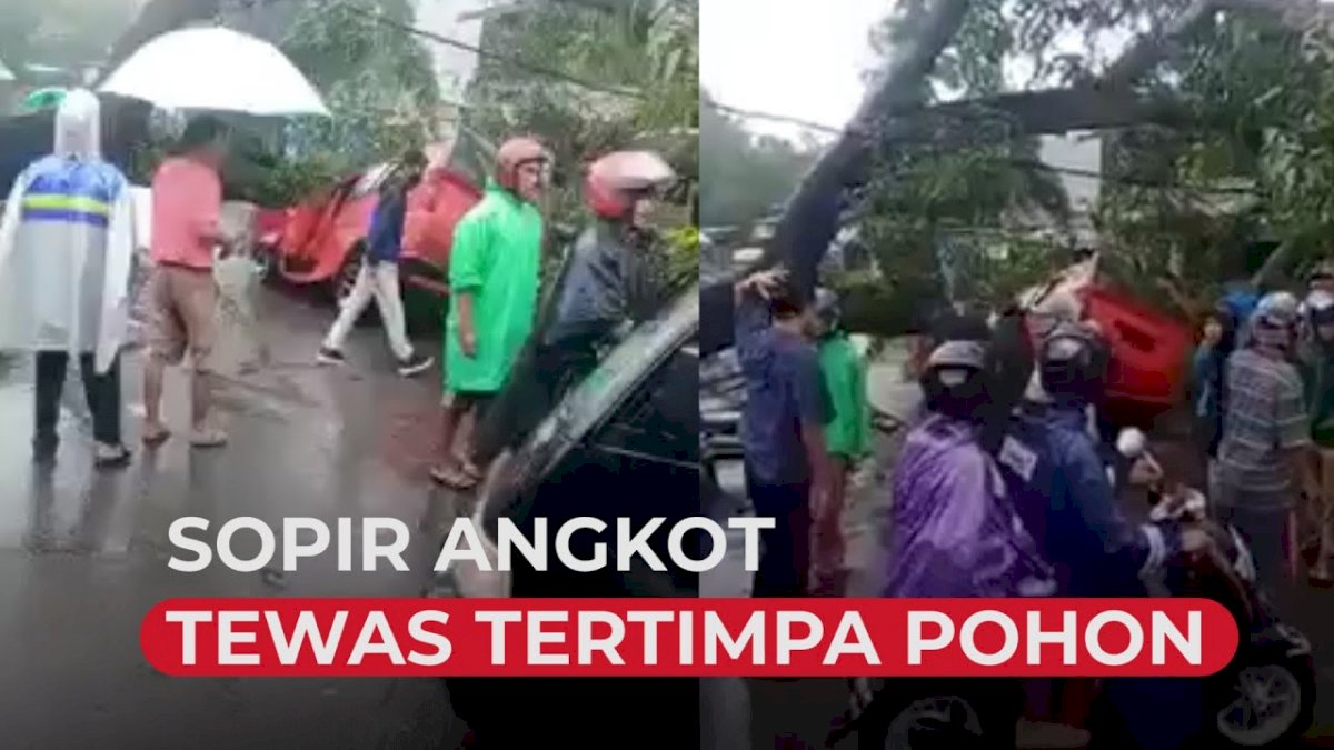 VIDEO: Sopir Angkot di Takalar Tewas Tertimpa Pohon Tumbang