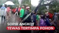 VIDEO: Sopir Angkot di Takalar Tewas Tertimpa Pohon Tumbang