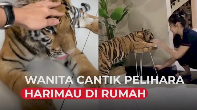 istimewa