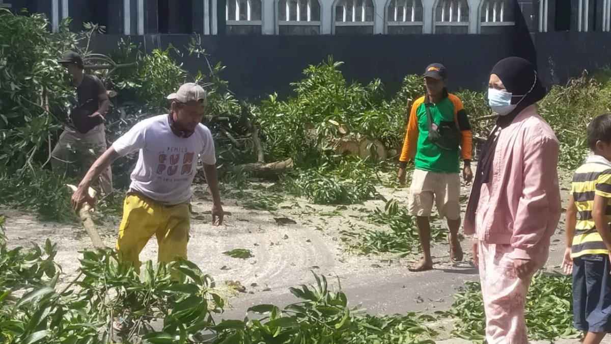 DLH Parepare Bergerak Bersihkan Sampah Ranting Pohon Tumbang dan Pemangkasan