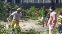 DLH Parepare Bergerak Bersihkan Sampah Ranting Pohon Tumbang dan Pemangkasan