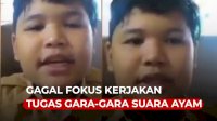 VIDEO: Kocak, Bocah Ini Gagal Fokus Kerjakan Tugas Gara-gara Suara Ayam