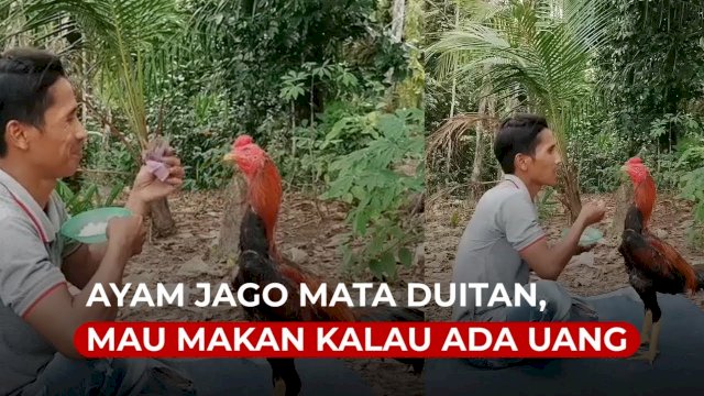 istimewa