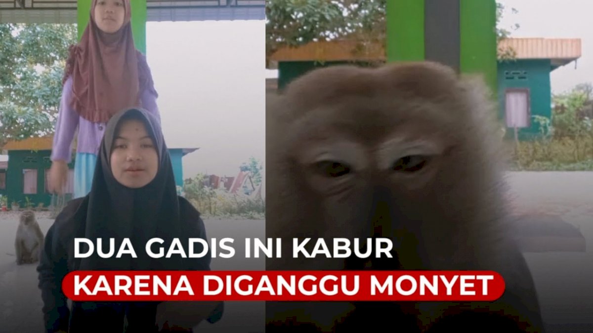 VIDEO: Lagi Buat Konten TikTok, Dua Gadis Ini Kabur karena Diganggu Monyet
