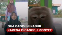VIDEO: Lagi Buat Konten TikTok, Dua Gadis Ini Kabur karena Diganggu Monyet