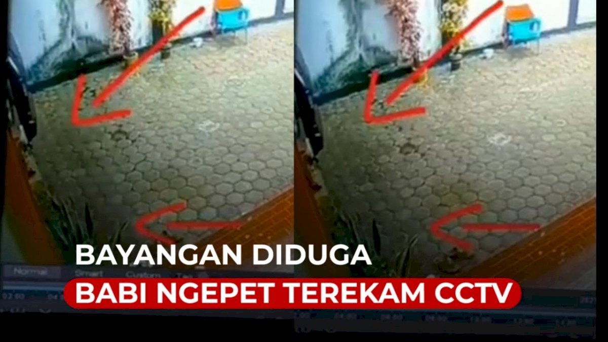 VIDEO: Penampakan Diduga Babi Ngepet di Aceh Barat Terekam CCTV
