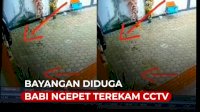 VIDEO: Penampakan Diduga Babi Ngepet di Aceh Barat Terekam CCTV