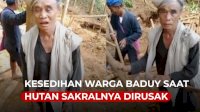 VIDEO: Kesedihan Warga Baduy Saat Hutan Sakralnya Dirusak Penambang Liar