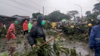 Sejak Subuh, DLH Gowa Disibukkan dengan 13 Pohon Tumbang