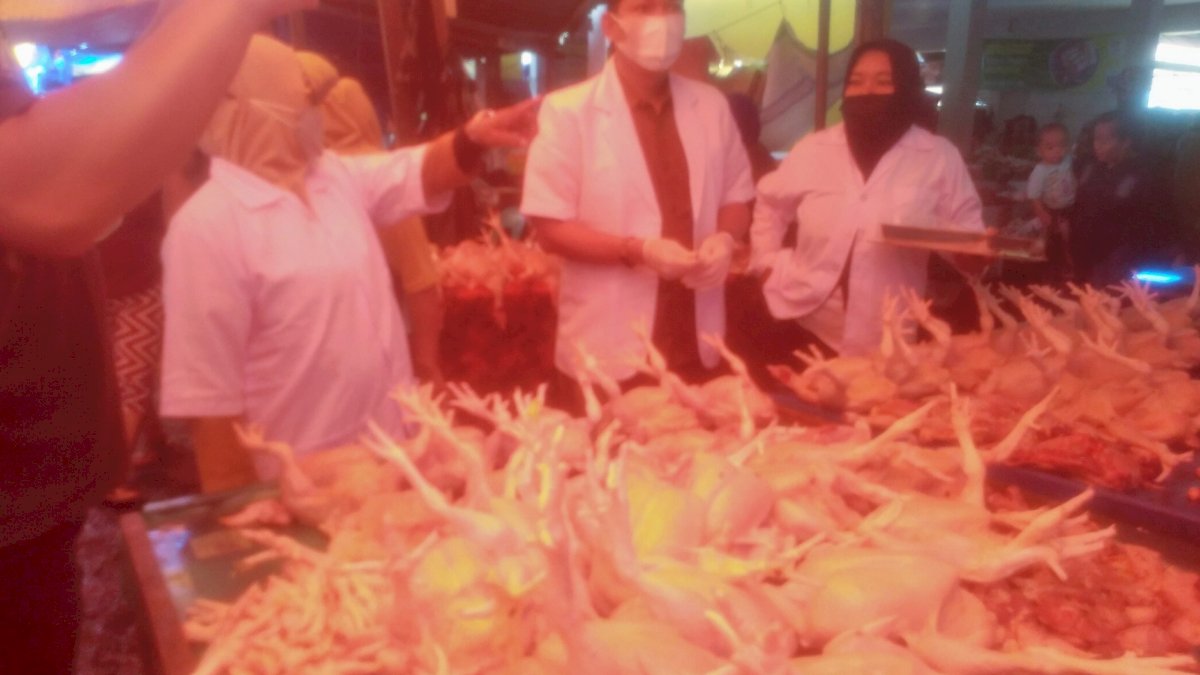 Jelang Lebaran Dinas PKP Pantau Kualitas dan Kuantitas Daging di Pasar