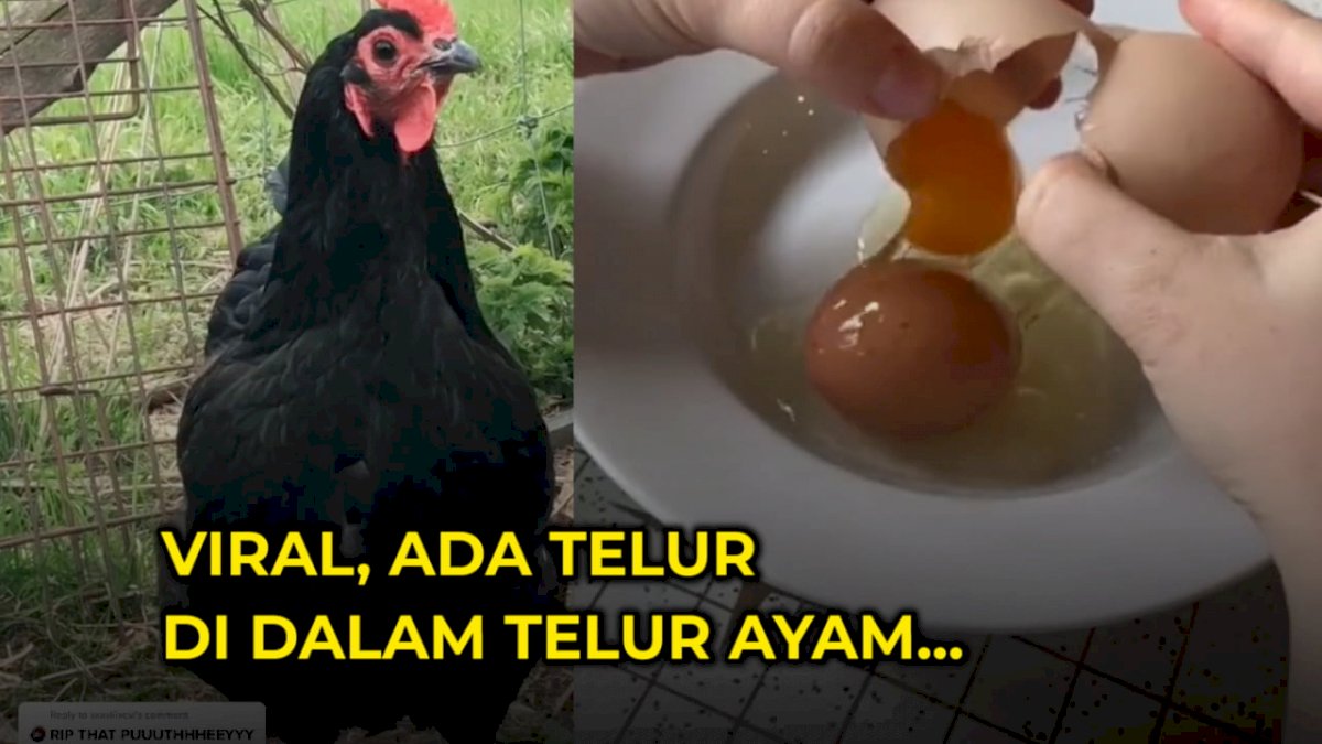 VIDEO: Viral, Ada Telur di Dalam Telur Ayam
