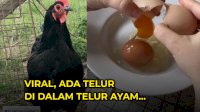 VIDEO: Viral, Ada Telur di Dalam Telur Ayam