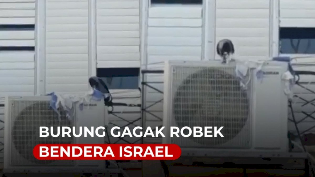 VIDEO: Anaknya Beli Voucher Game Online Rp 800 Ribu, Orang Tua Ngamuk ke Kasir