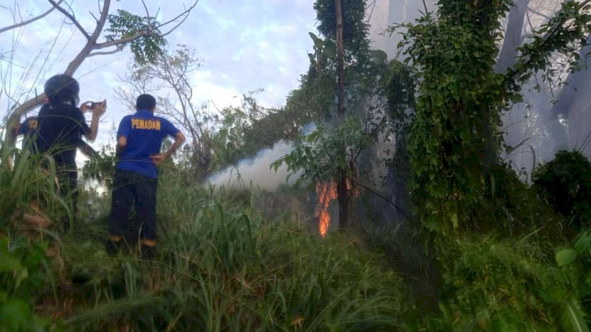 Kemarau Masih Terjadi, Taufan Pawe Imbau Warga Waspadai Bencana Kebakaran