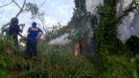 Kemarau Masih Terjadi, Taufan Pawe Imbau Warga Waspadai Bencana Kebakaran