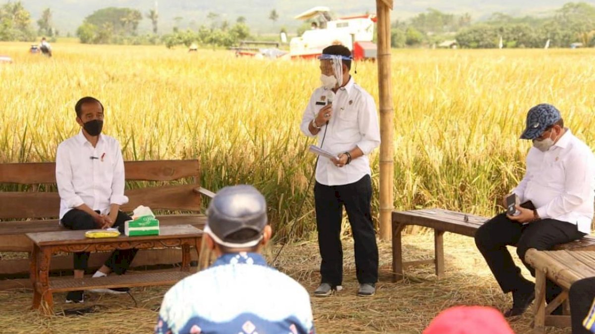 Buruan! Tepi Sawah Sidrap Diskon Hingga 10 Persen