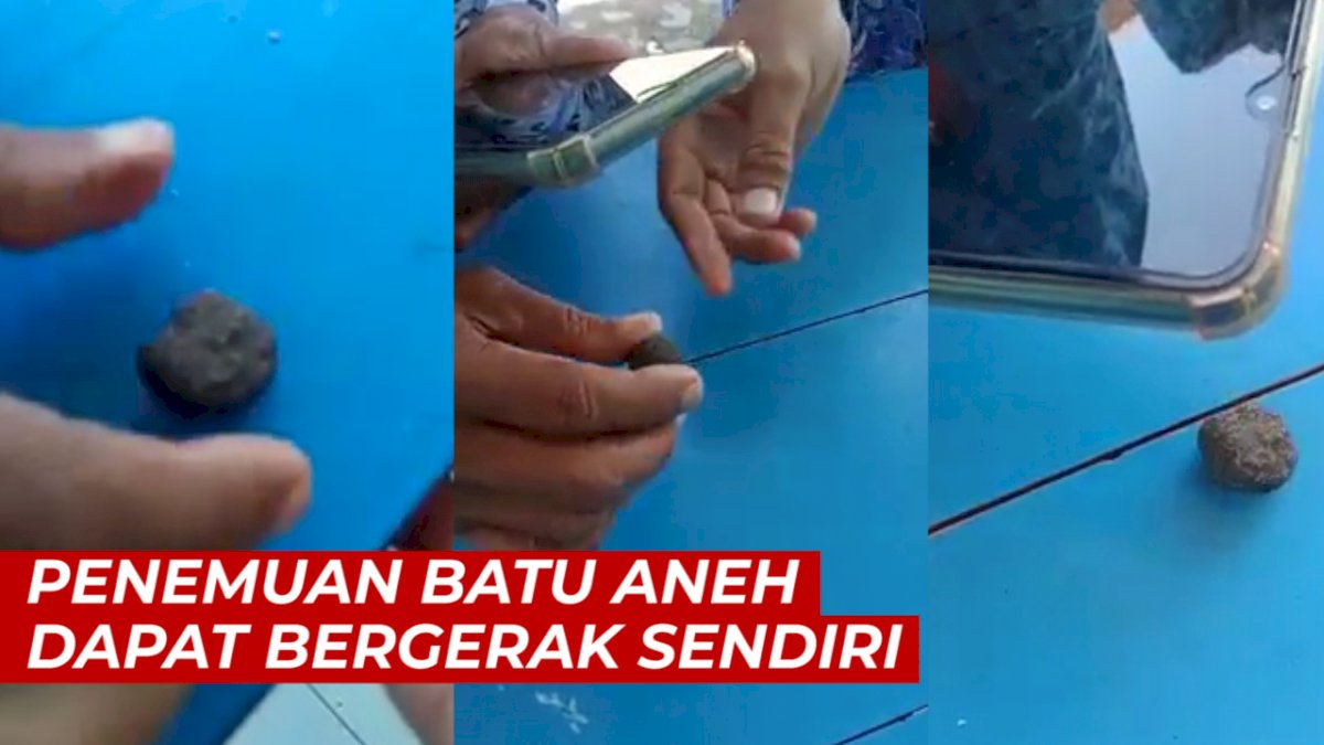 VIDEO: Bikin Heboh, Penemuan Batu Aneh yang Bisa Bergerak Sendiri