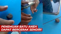 VIDEO: Bikin Heboh, Penemuan Batu Aneh yang Bisa Bergerak Sendiri