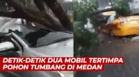 VIDEO: Detik-detik Dua Mobil Tertimpa Pohon Tumbang di Medan