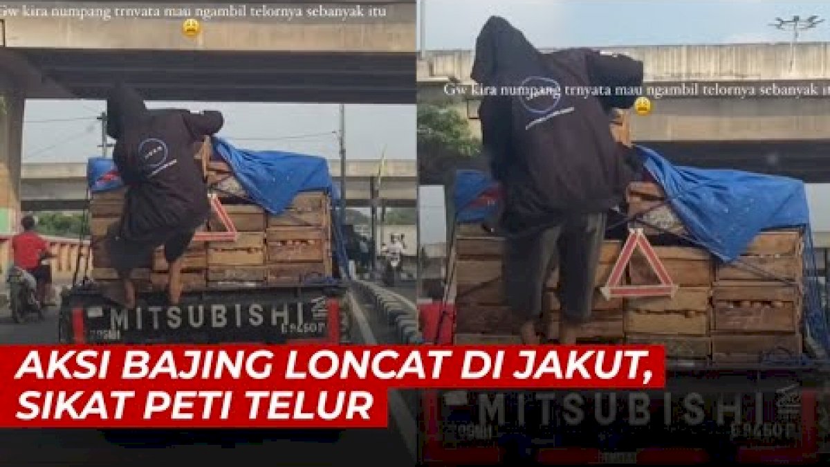 VIDEO: Aksi Bajing Loncat di Jakut, Sikat Peti Telur di Mobil Pick Up