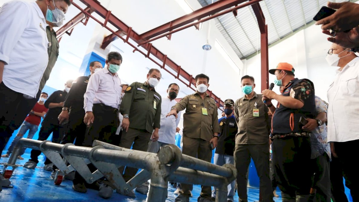 Danny Pomanto Dampingi Mentan RI Syahrul Pantau Kondisi Hewan Qurban