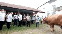 Mentan Syahrul Kurban Sapi di Kampung Halaman, Diterima Wabup Gowa