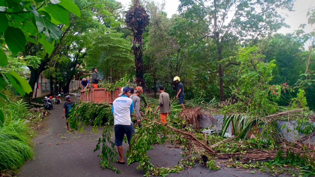 Tata Lingkungan dan Taman, DLH Parepare Intens Pangkas Ranting Pohon