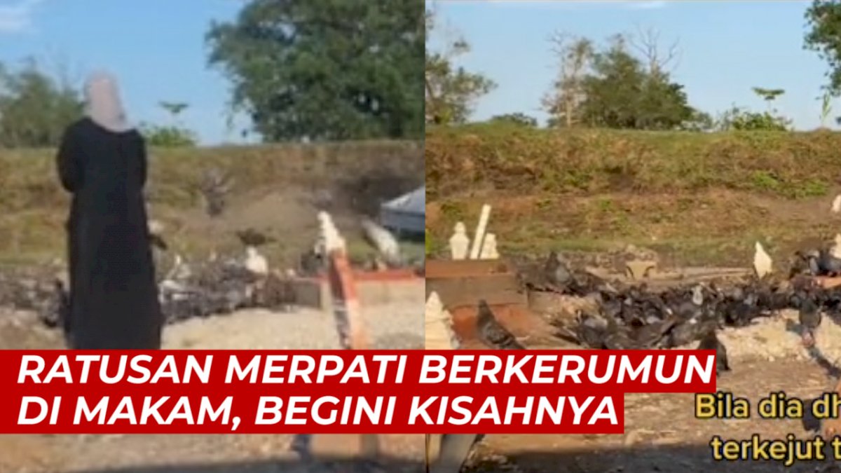 VIDEO:  Kuburan Dikerumuni Ratusan Merpati, Perempuan Ini Bagikan Kisah Almarhum Semasa Hidup