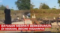 VIDEO: Kuburan Dikerumuni Ratusan Merpati, Perempuan Ini Bagikan Kisah Almarhum Semasa Hidup