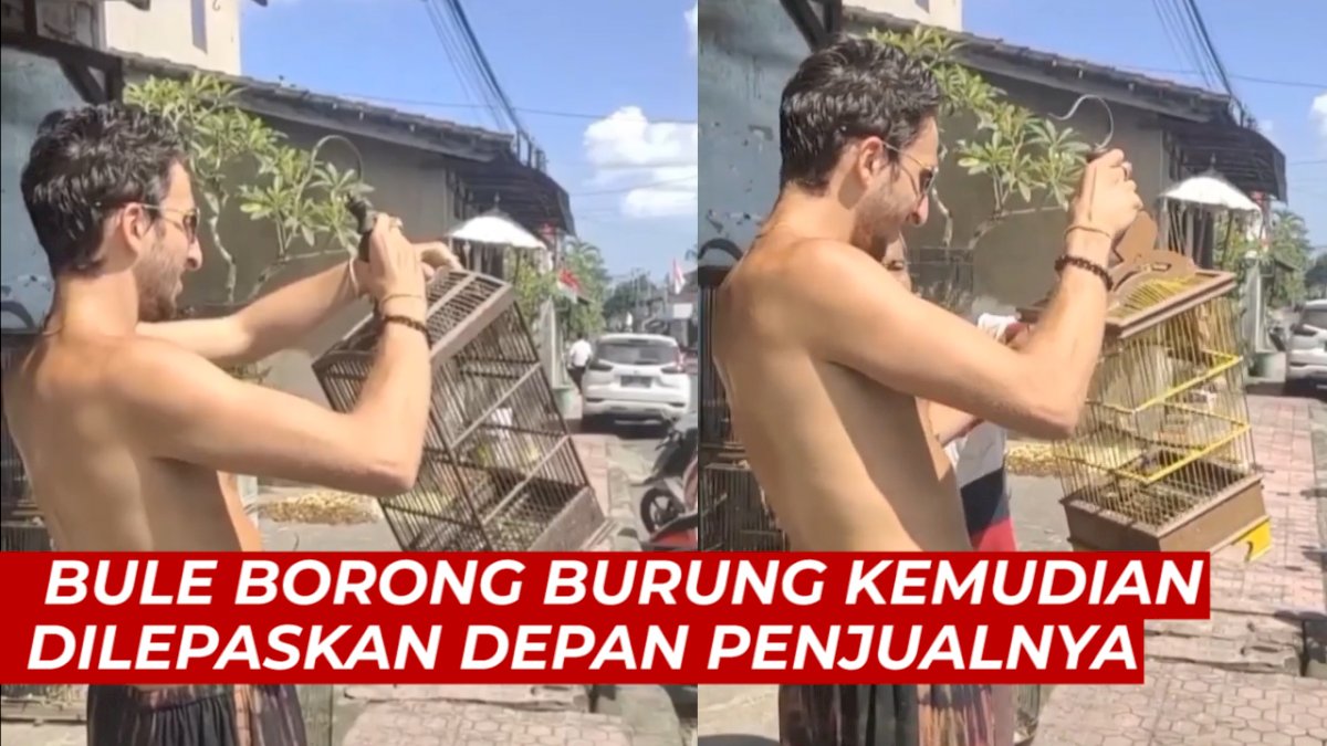 VIDEO: Viral, Bule Borong Burung Kemudian Dilepaskan Depan Penjualnya
