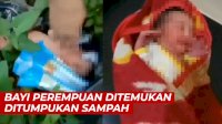 VIDEO: Terjadi Lagi, Bayi Perempuan Ditemukan di Tumpukan Sampah