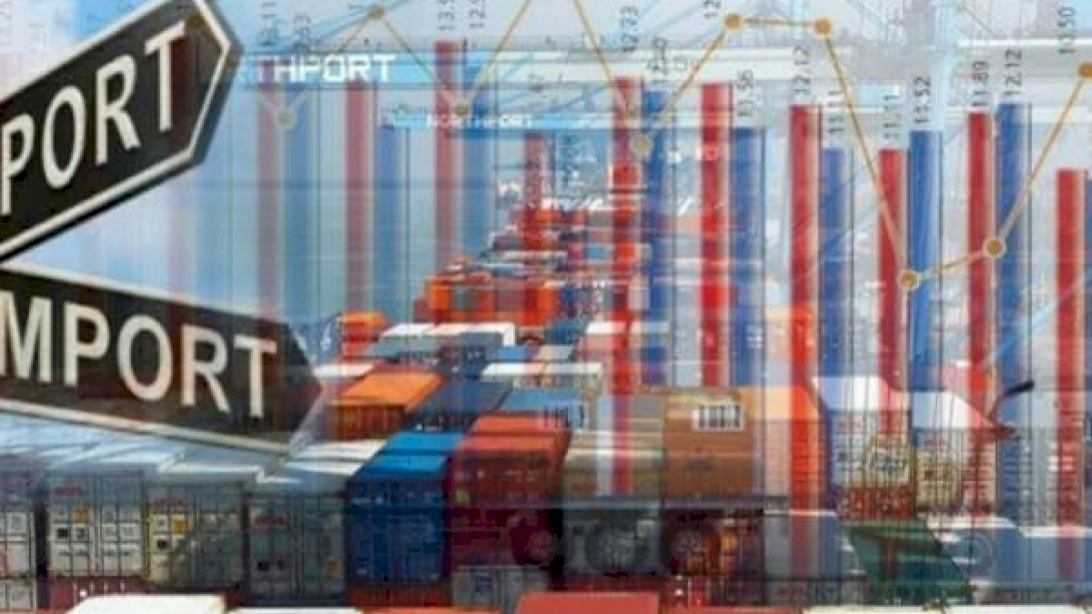 Kategori Barang Impor yang Dibebaskan Pemerintah dari PPN