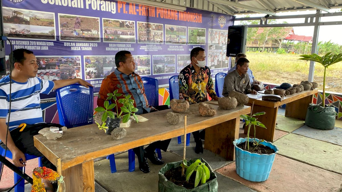 Keren! Legislator DPRD Papua Barat Ikut Sekolah Porang di Sidrap