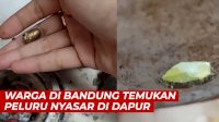 VIDEO: Warga di Bandung Temukan Peluru Nyasar di Dapur, Atap Rumah dan Panci Bolong