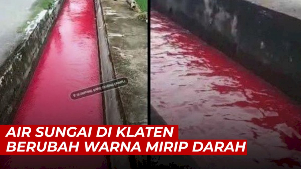 VIDEO: Bikin Heboh, Air Sungai di Klaten Berubah Warna Mirip Darah