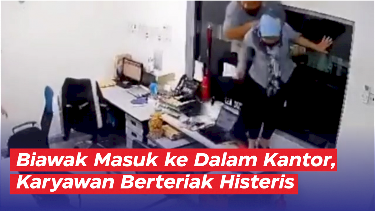 VIDEO: Detik-detik Biawak Masuk ke Dalam Kantor, Karyawan Berteriak Histeris