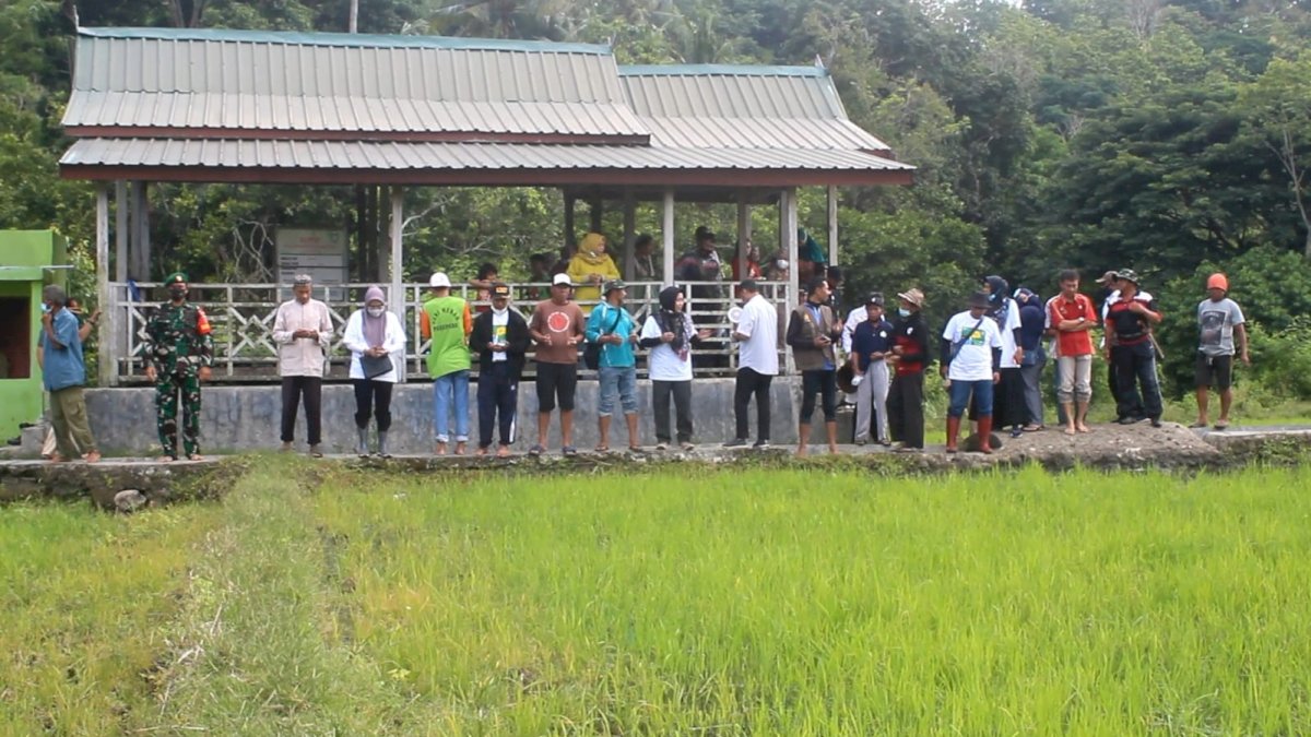 Mappalili Jelang Musim Tanam, Taufan Pawe : Tradisi Yang Harus Dijaga