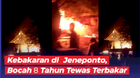 VIDEO: Kebakaran di Jeneponto, Bocah 8 Tahun Tewas Terbakar