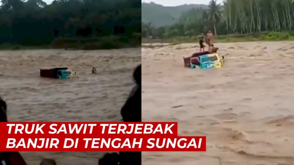 VIDEO: Detik-detik Truk Sawit Terjebak Banjir di Tengah Sungai