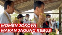 VIDEO: Momen Presiden Jokowi Makan Jagung Rebus di Pinggir Jalan