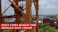 VIDEO: Bikin Panik, ODGJ Coba Bunuh Diri dengan Naik Crane Setinggi 75 Meter