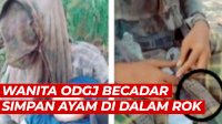 VIDEO: Wanita ODGJ Becadar Simpan Ayam di Dalam Rok, Videonya Viral