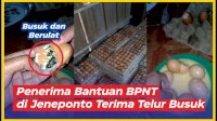VIDEO: Miris, Sejumlah Penerima Bantuan BPNT di Jeneponto Terima Telur Busuk