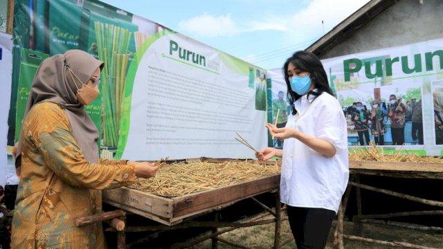 Kunjungan Direktur Bisnis Konsumer BRI, Handayani ke usaha rumput Purun milik Hartati. Ist