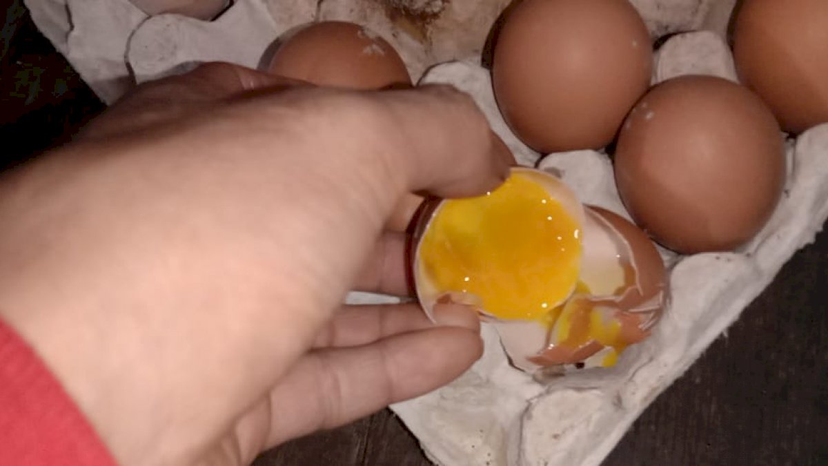 Miris, Sejumlah Penerima Bantuan BPNT di Jeneponto Terima Telur Busuk