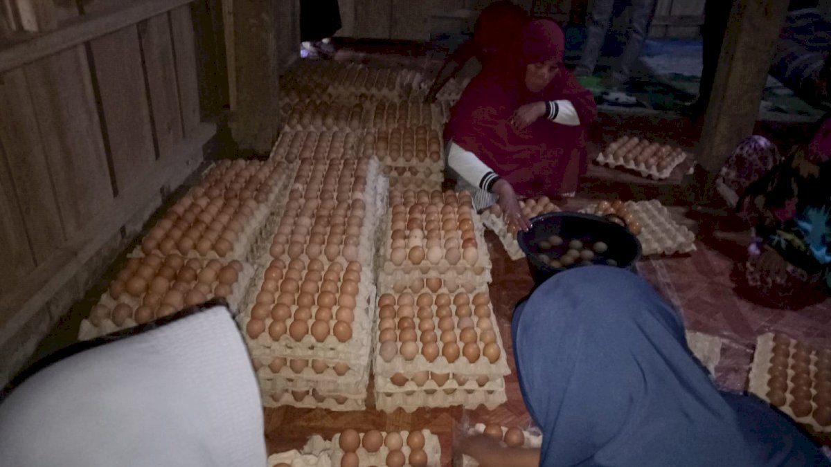 Warganya Terima Telur Busuk Bantuan BPNT dan Diganti Telur Busuk Pula?, Kades Ujung Bulu Geram