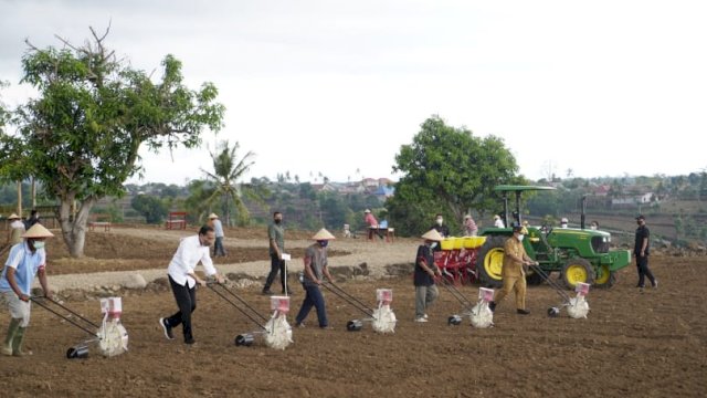 Presiden Joko Widodo melakukan penanaman Bibit Jagung bersama petani di Jeneponto, (Ist)