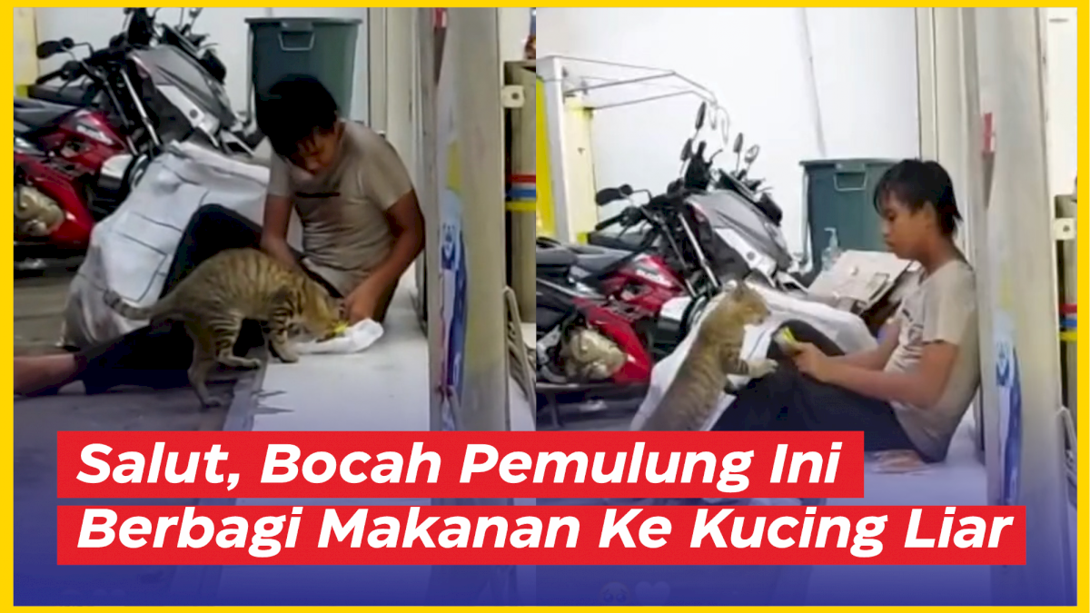 VIDEO: Salut, Bocah Pemulung Ini Berbagi Makanan Ke Kucing Liar