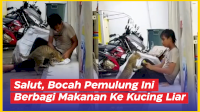 VIDEO: Salut, Bocah Pemulung Ini Berbagi Makanan Ke Kucing Liar
