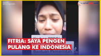 VIDEO: Curhatan TKW Indonesia, Fitria: Saya Ingin Pulang ke Indonesia